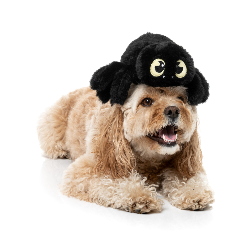 WEBASTIAN THE RED BACK – HUNDESPIELZEUG