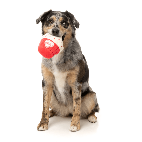 „You're Pawsome Cupcake“ – Spielzeug aus der Love Collection – Hundespielzeug