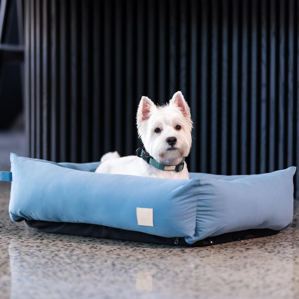 FuzzYard Life French Blue Cotton Dog Bed