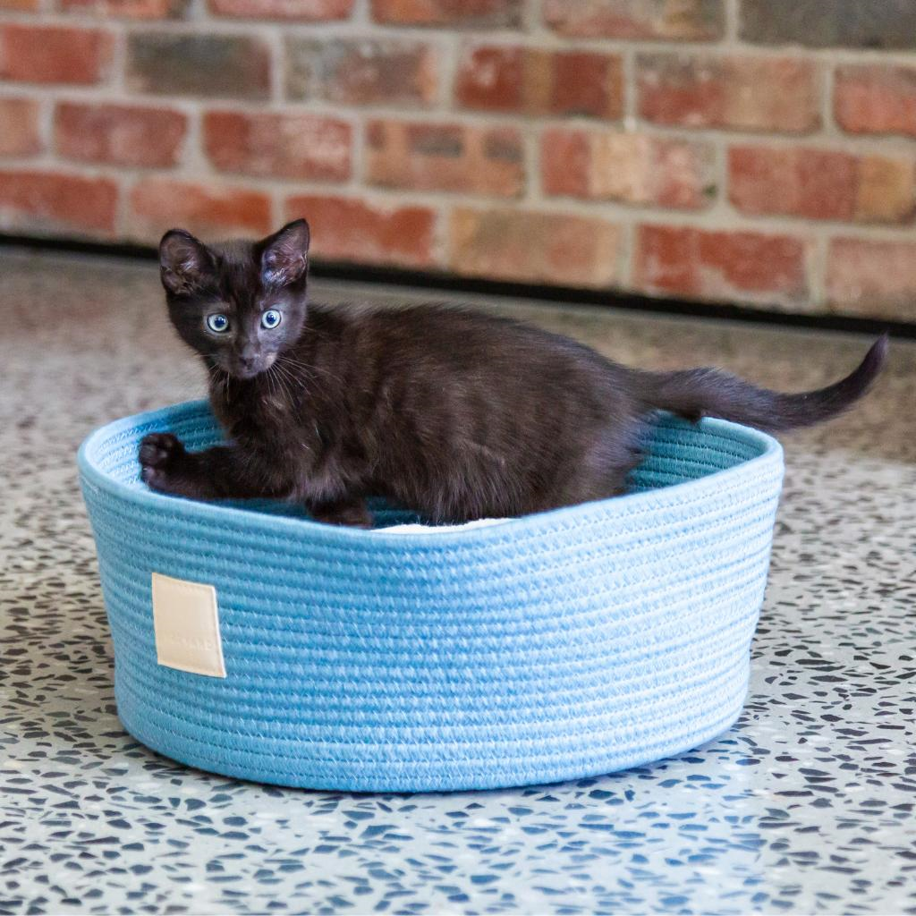 FuzzYard Life Basket Bed French Blue