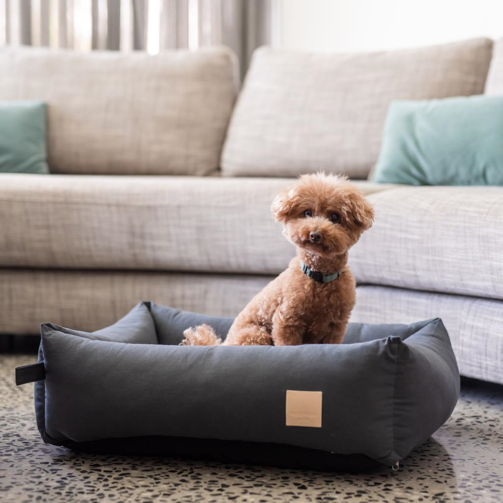 FuzzYard Life Cotton Dog Bed Slate Gray