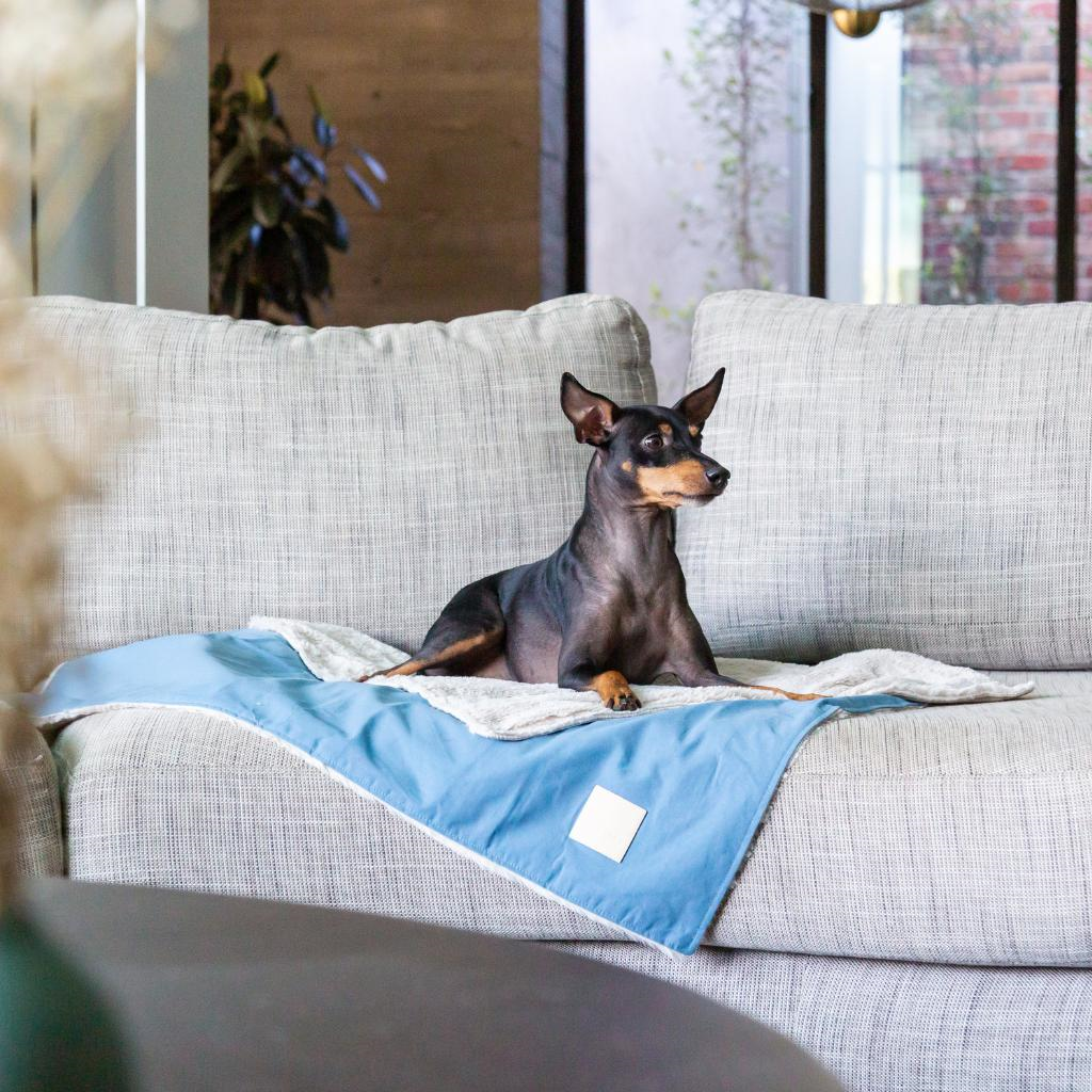 FuzzYard Life French Blue Reversible Blanket