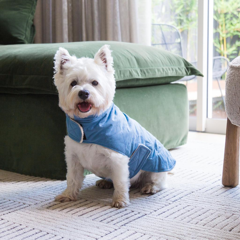 French Blue - Fuzzyard Life Quilted Cotton Jacket