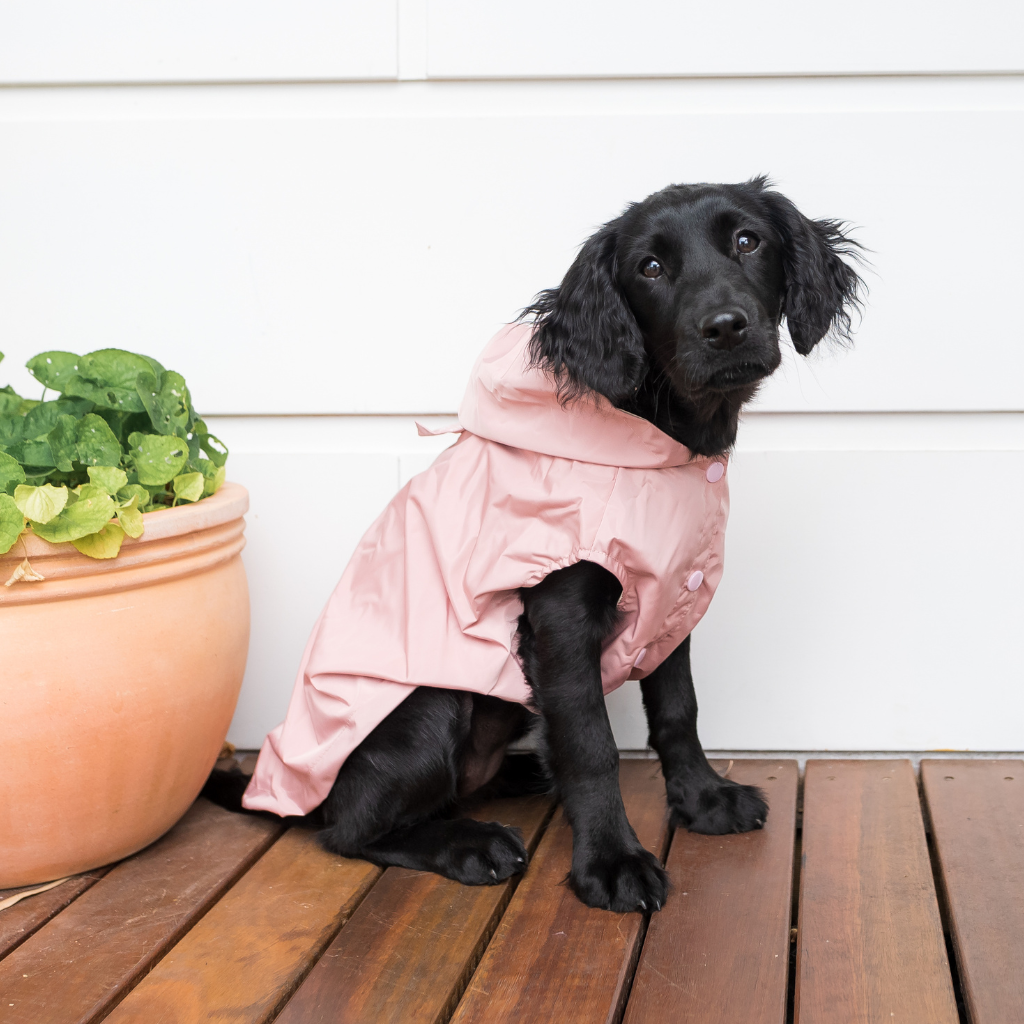 Soft Blush - FuzzYard Life Regenmantel