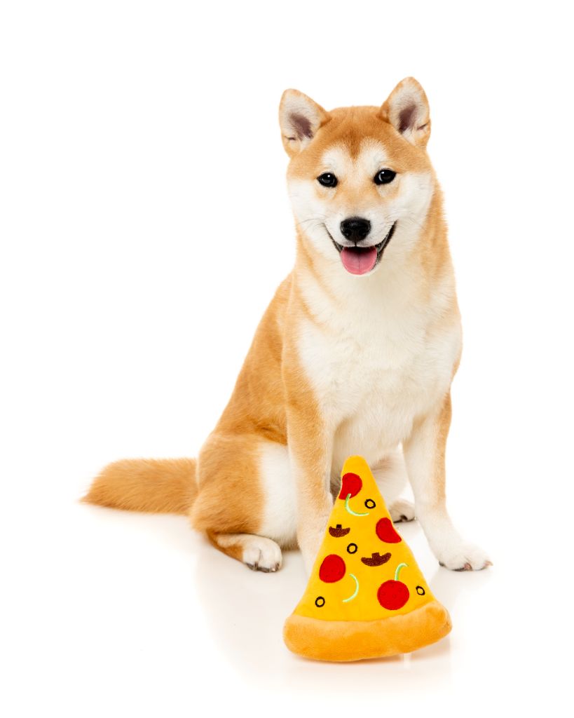 Pizza Slice - Dog toy