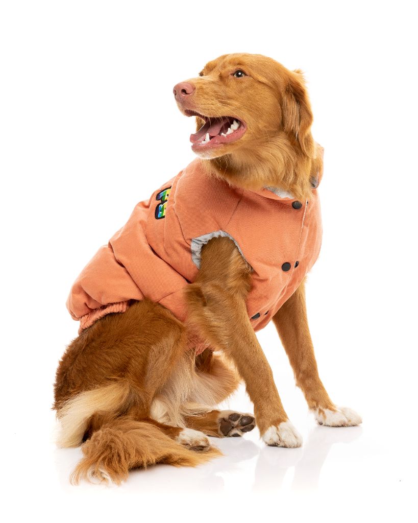 Hundejacke - Ashbury
