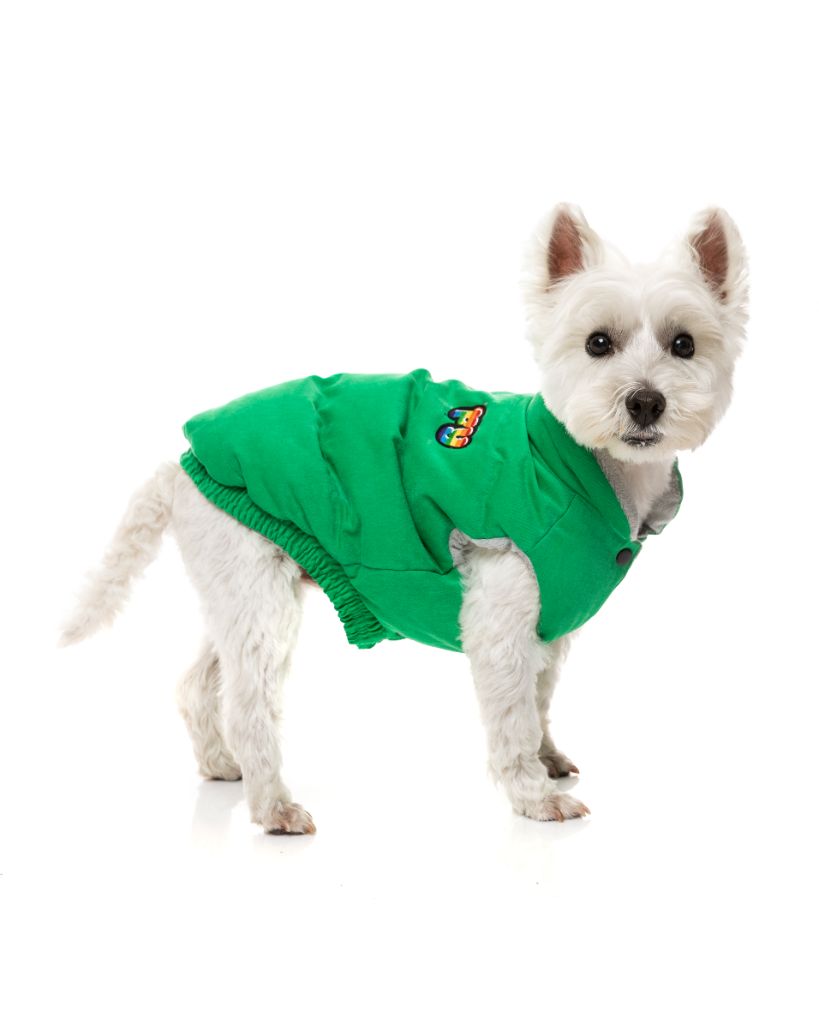 Hundejacke - Ashbury