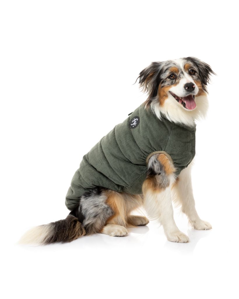 Kordjacke für Hunde - Mosman Puffer