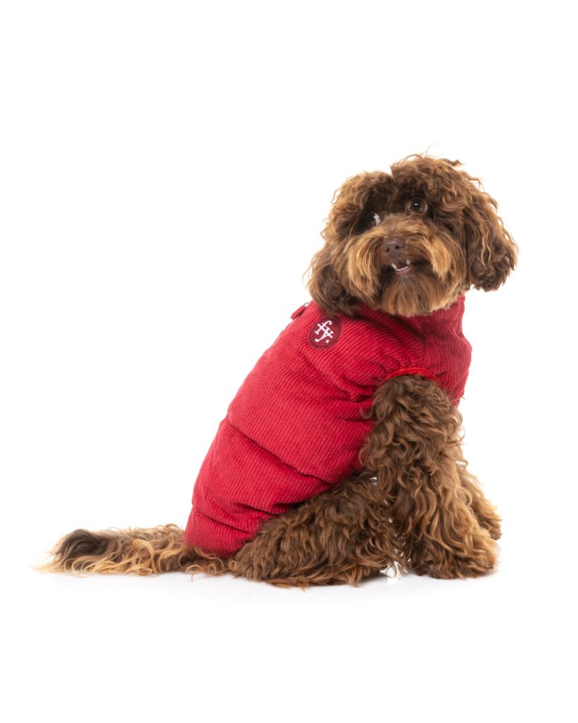 Kordjacke für Hunde - Mosman Puffer