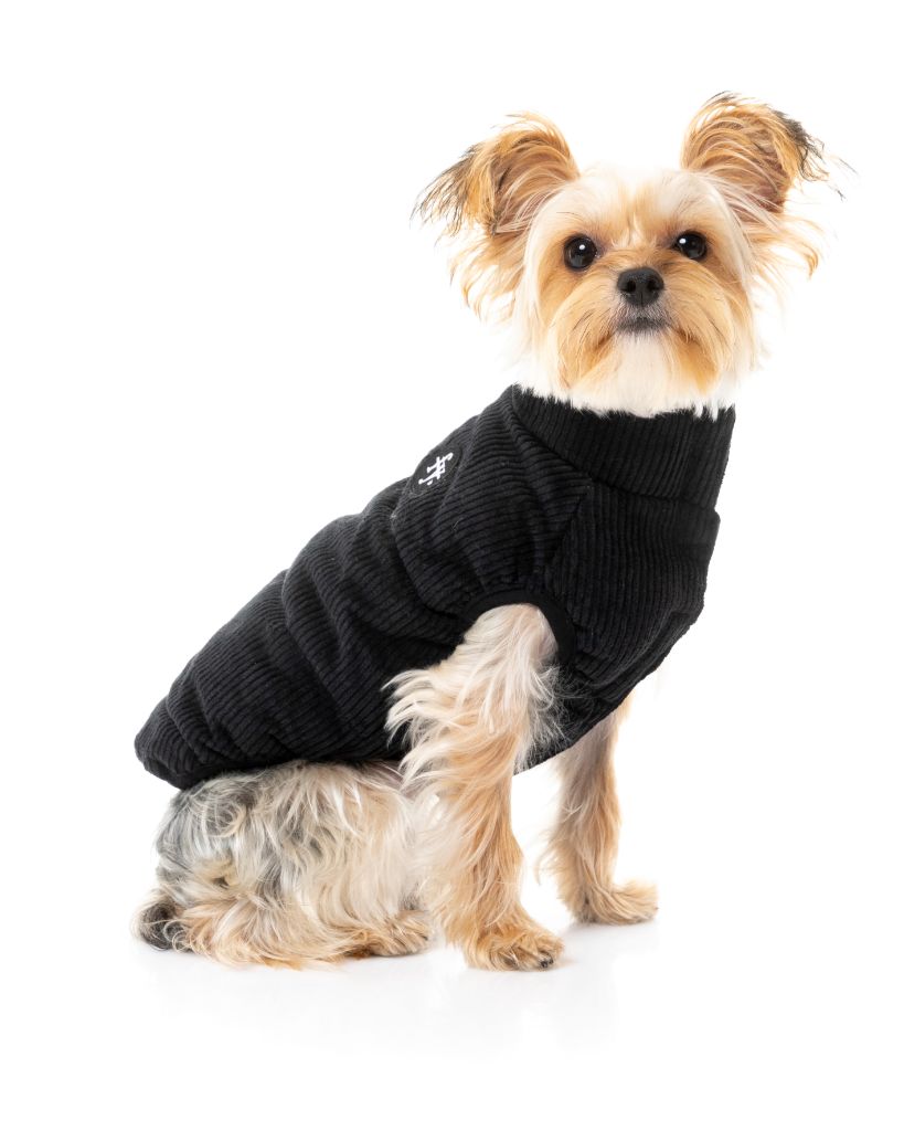Kordjacke für Hunde - Mosman Puffer