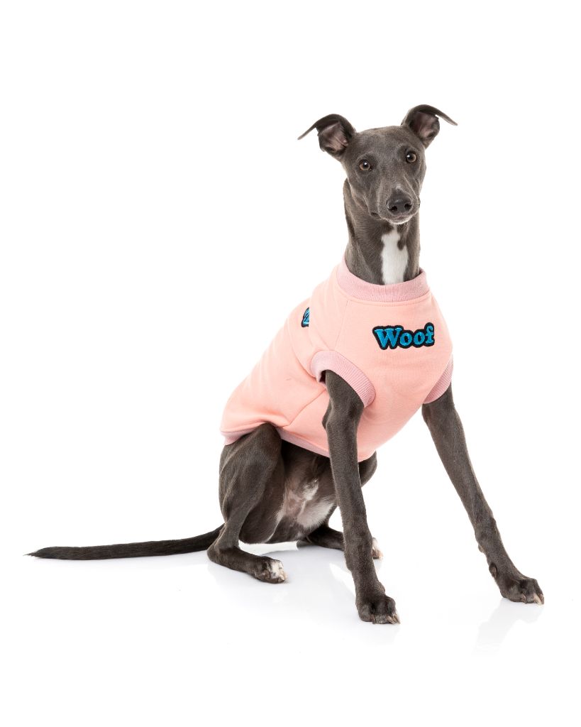 Dog Sweater - FY Track