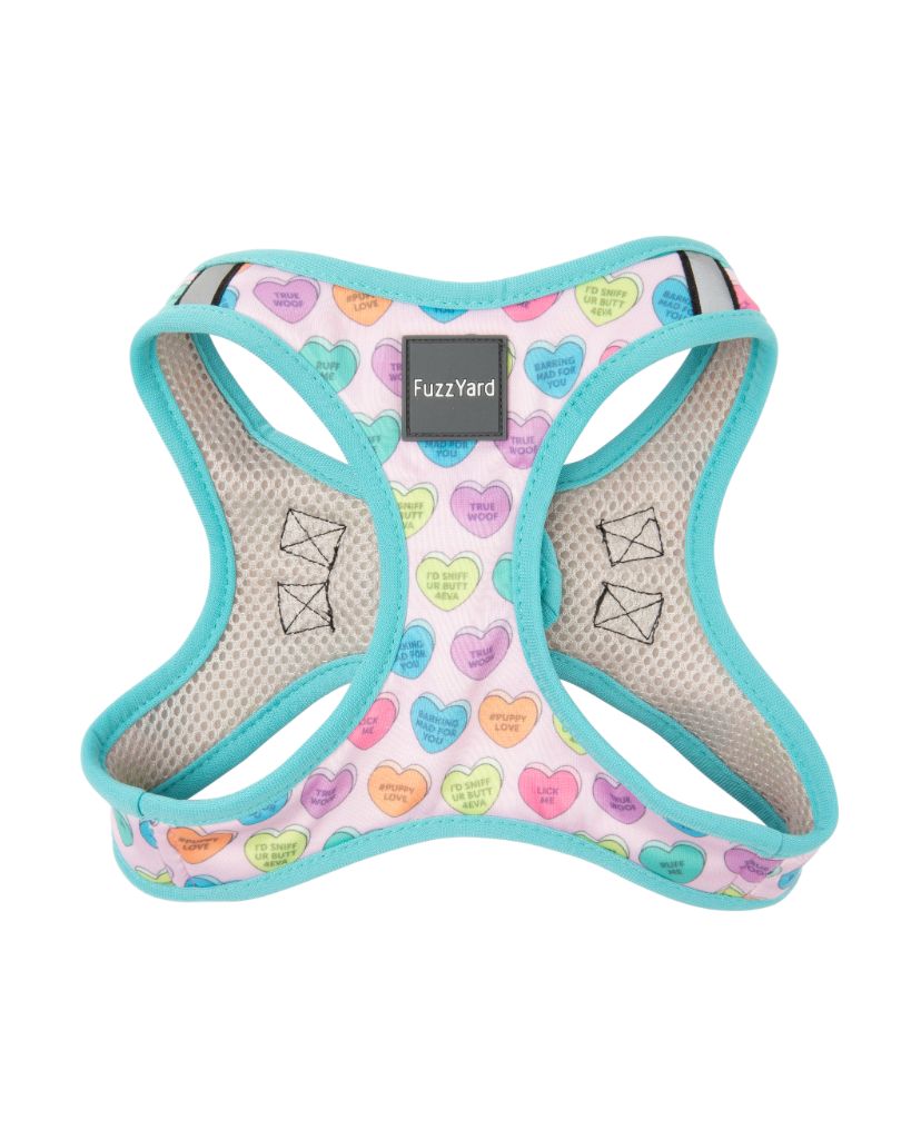 Candy Hearts Step In Dog Harness