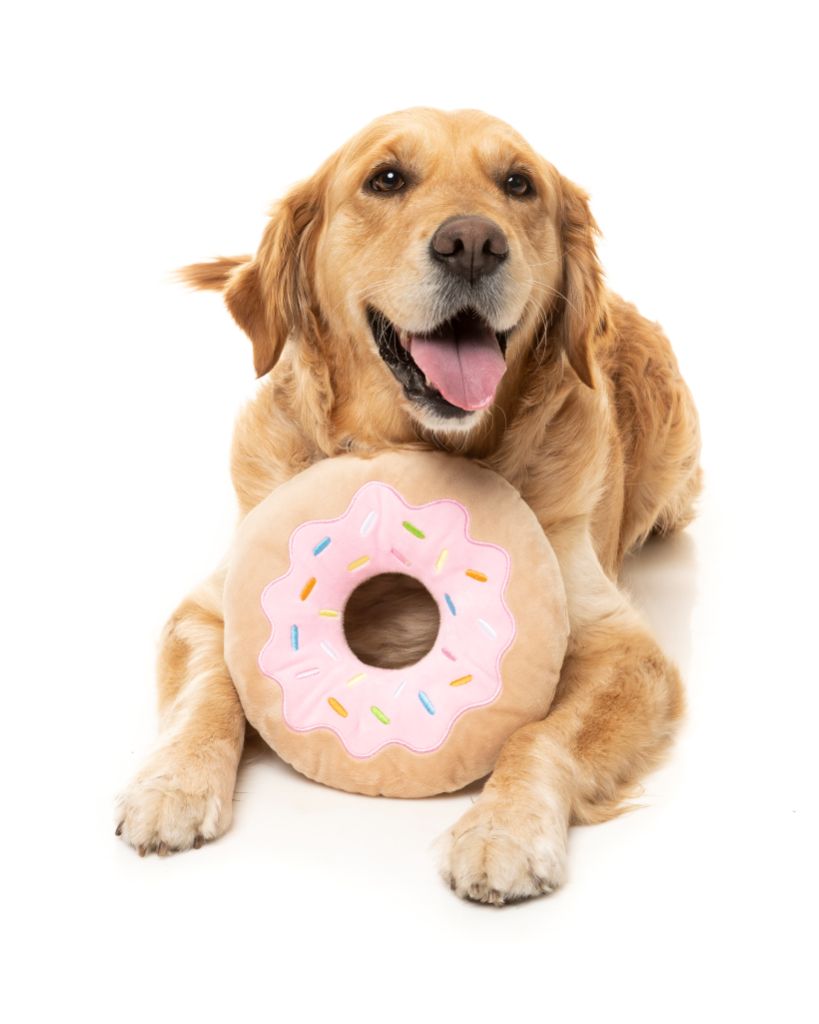 Dog Plush Toy Giant Donut