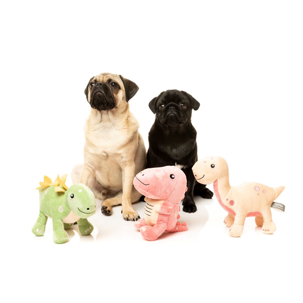 Dog Plush Toy Dino Stannis The Stegosaurus